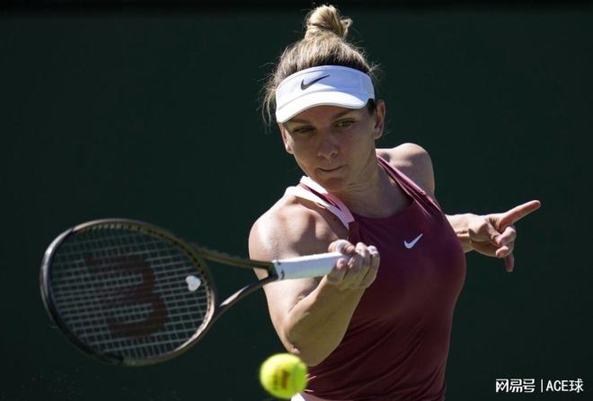 但也提供了 但也提供了