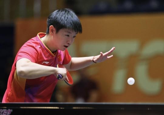 球公园的训 球公园的训