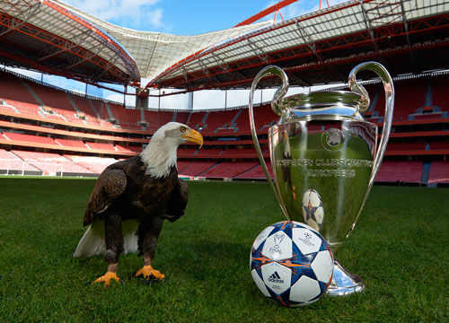 开放生态方 开放生态方