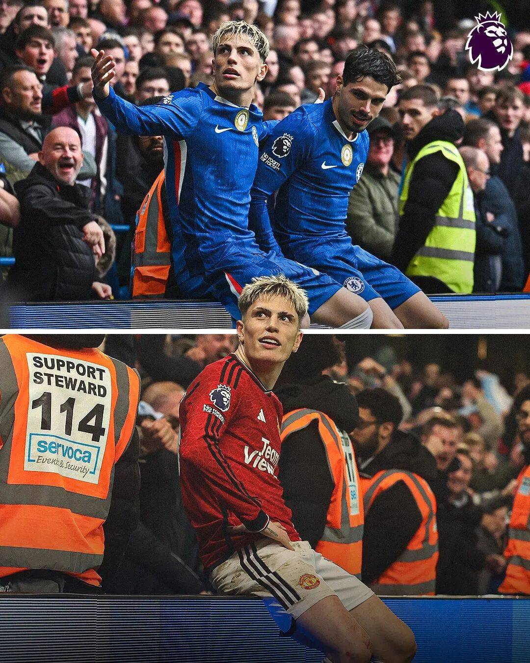 稳定发挥 稳定发挥